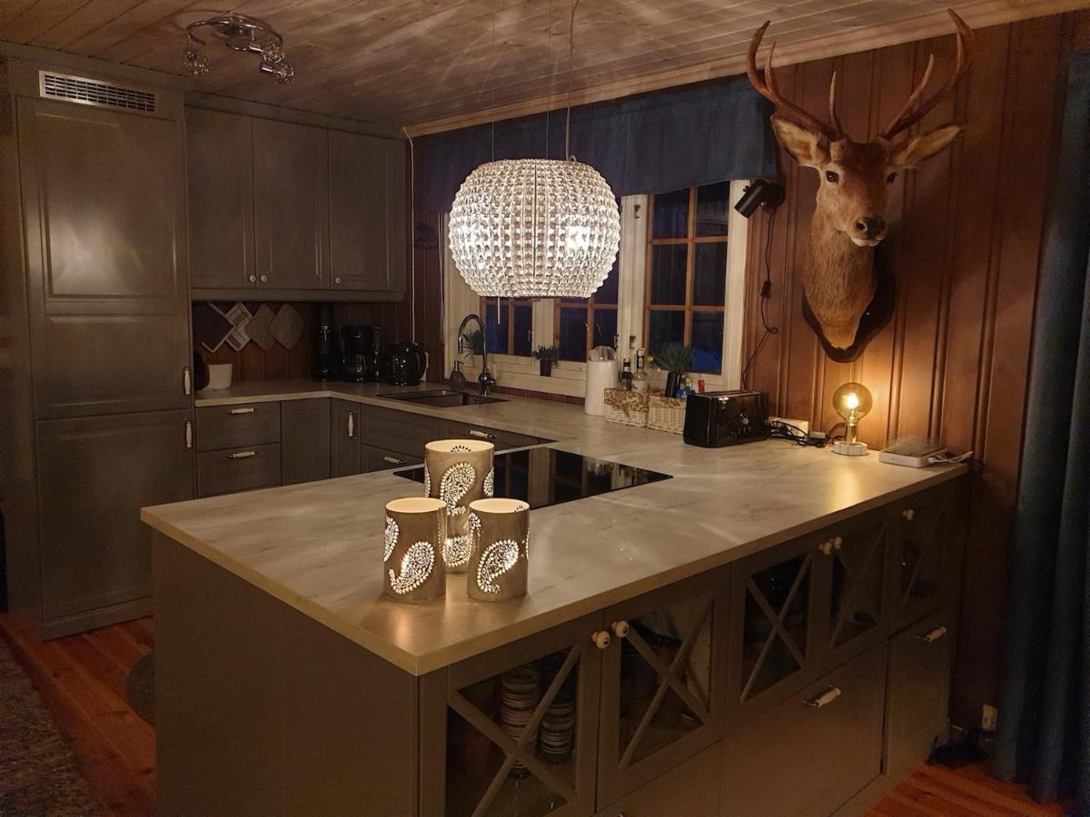 Solhytta Fantastisk Beliggenhet! Hytte Til Leie Pa Skrim! Kongsberg Extérieur photo