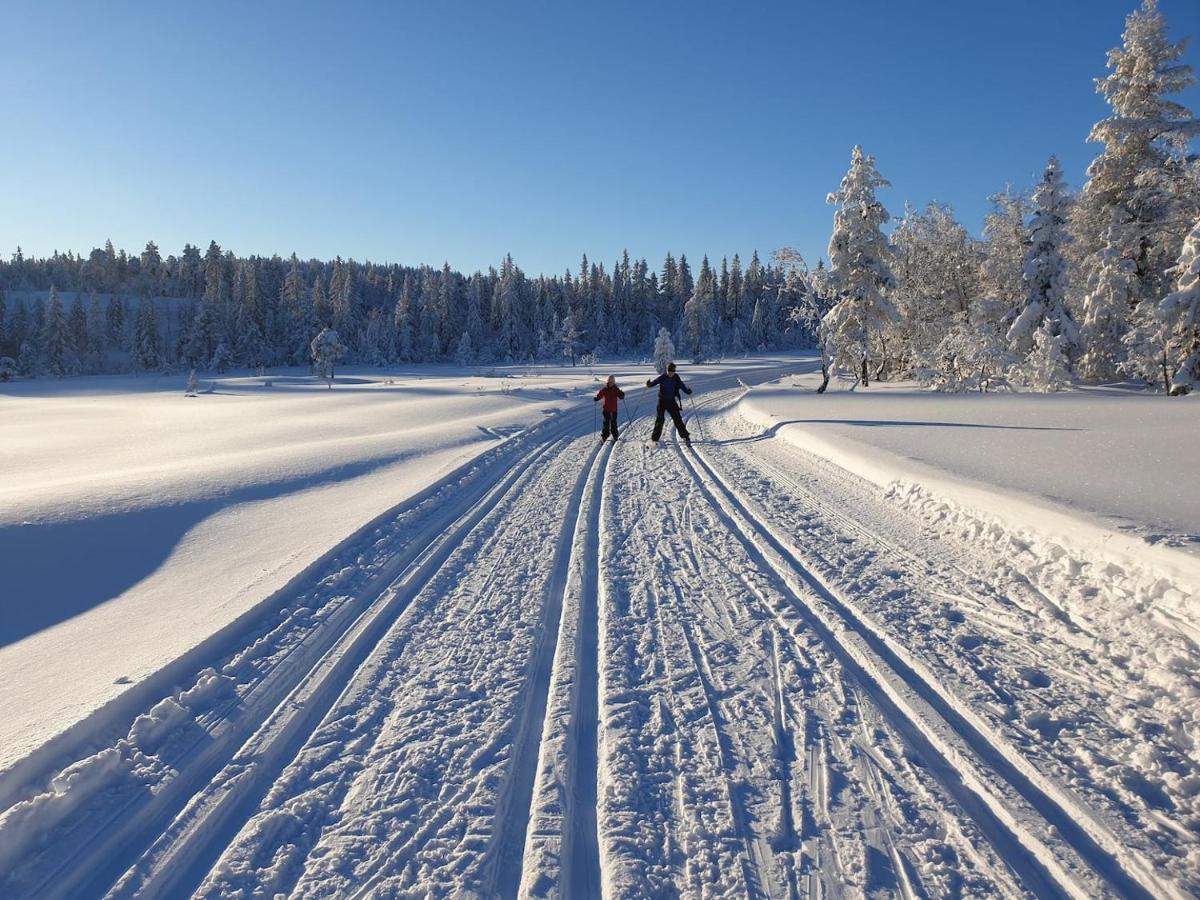 Solhytta Fantastisk Beliggenhet! Hytte Til Leie Pa Skrim! Kongsberg Extérieur photo