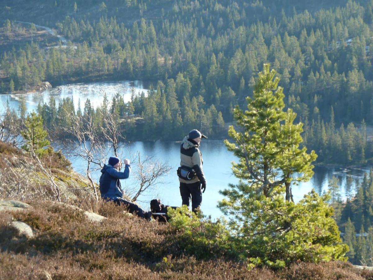 Solhytta Fantastisk Beliggenhet! Hytte Til Leie Pa Skrim! Kongsberg Extérieur photo