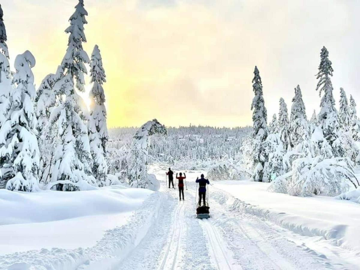 Solhytta Fantastisk Beliggenhet! Hytte Til Leie Pa Skrim! Kongsberg Extérieur photo