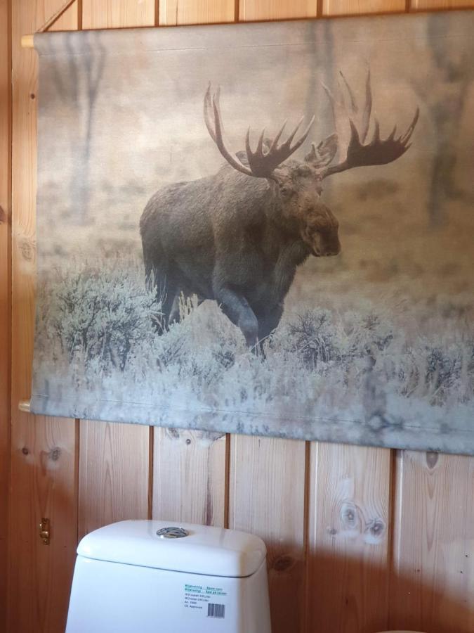 Solhytta Fantastisk Beliggenhet! Hytte Til Leie Pa Skrim! Kongsberg Extérieur photo