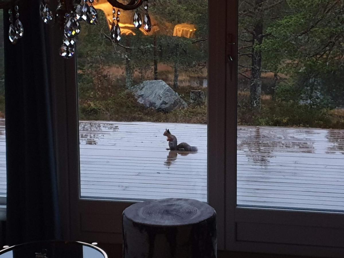 Solhytta Fantastisk Beliggenhet! Hytte Til Leie Pa Skrim! Kongsberg Extérieur photo
