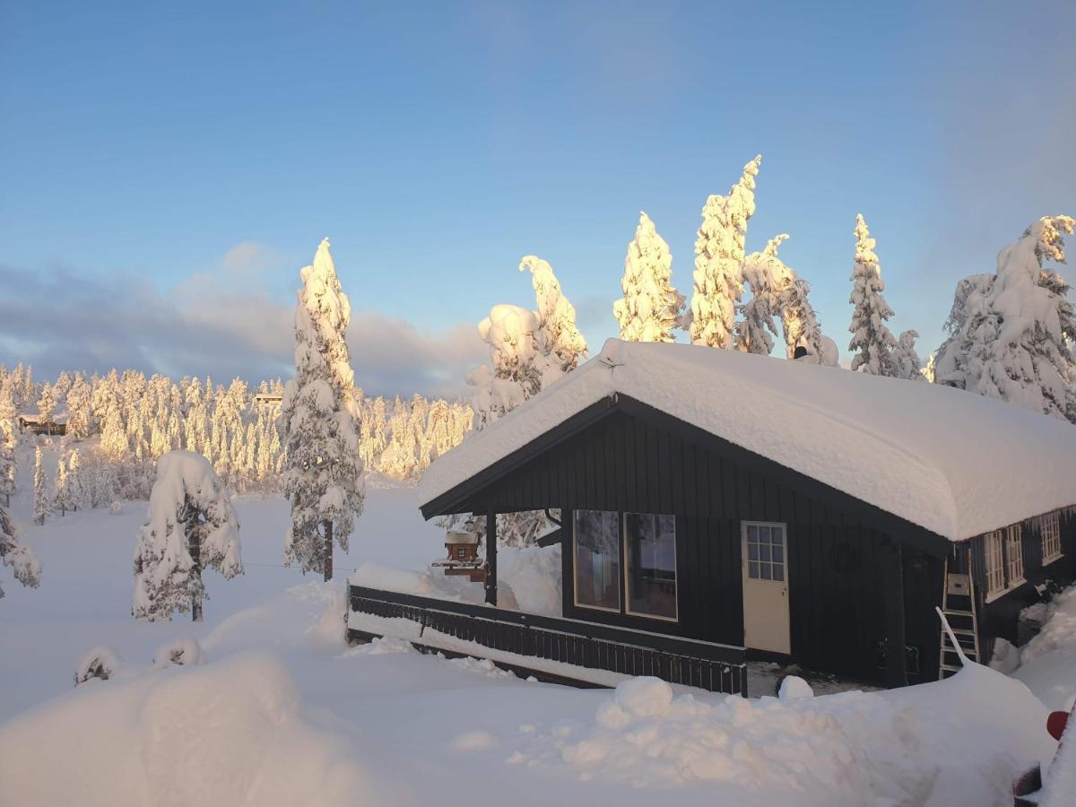 Solhytta Fantastisk Beliggenhet! Hytte Til Leie Pa Skrim! Kongsberg Extérieur photo