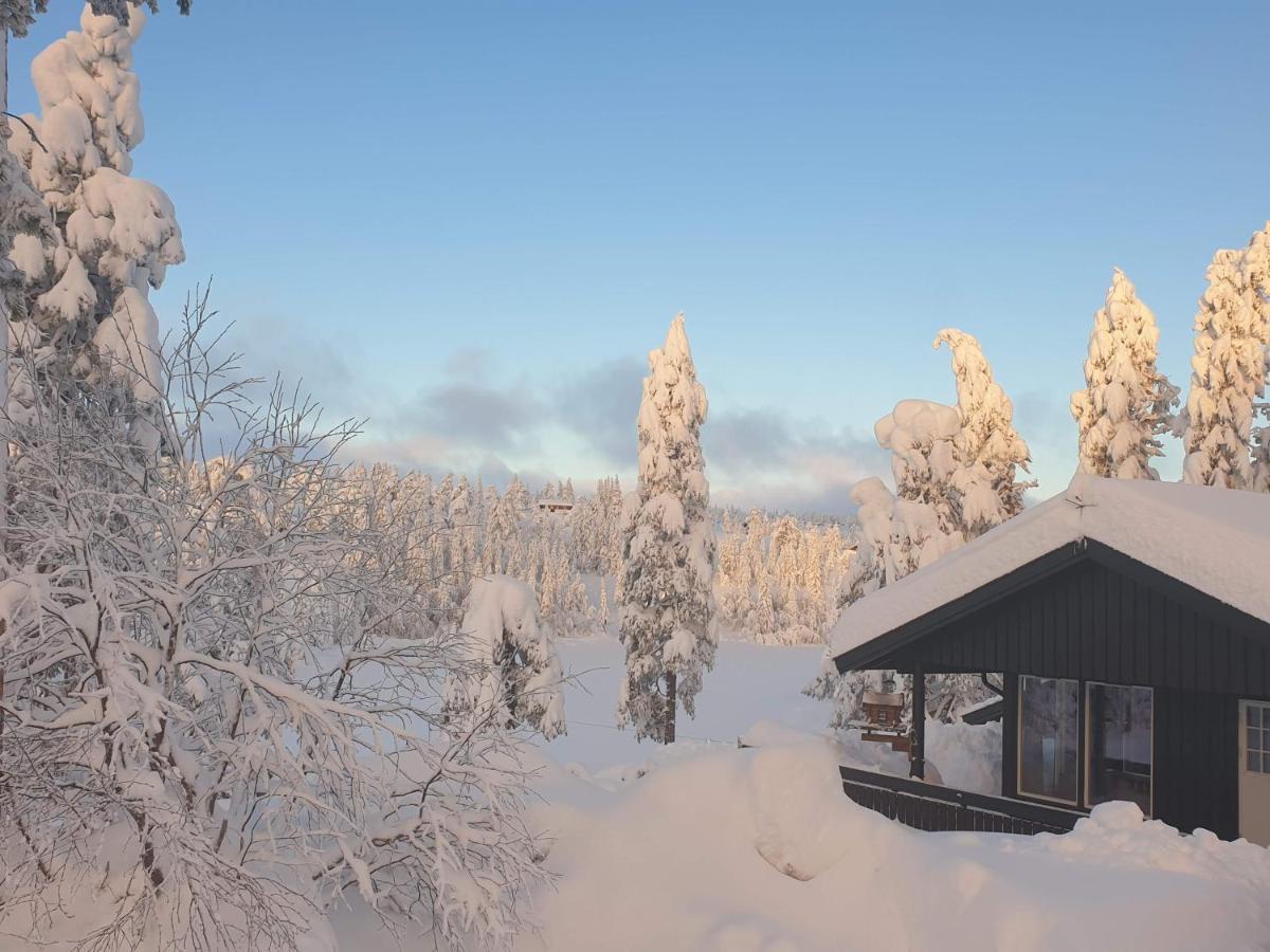 Solhytta Fantastisk Beliggenhet! Hytte Til Leie Pa Skrim! Kongsberg Extérieur photo