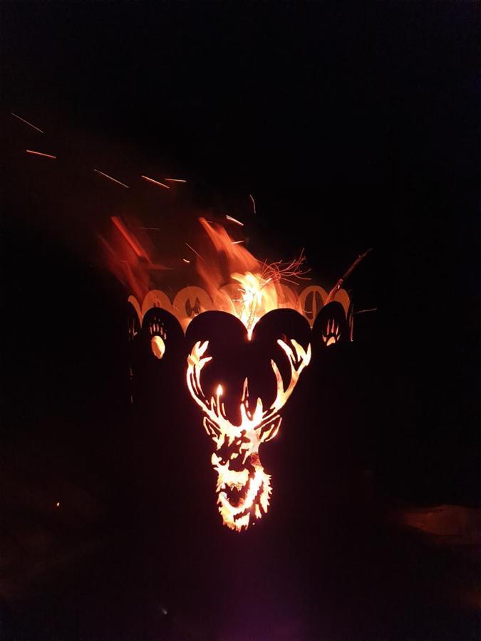 Solhytta Fantastisk Beliggenhet! Hytte Til Leie Pa Skrim! Kongsberg Extérieur photo