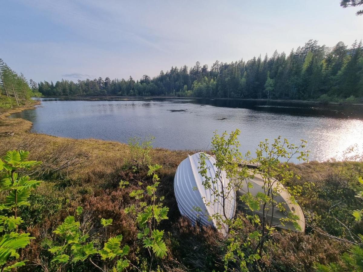 Solhytta Fantastisk Beliggenhet! Hytte Til Leie Pa Skrim! Kongsberg Extérieur photo